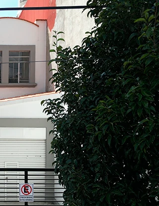 Exterior de la casona 18 san josé - foto 01